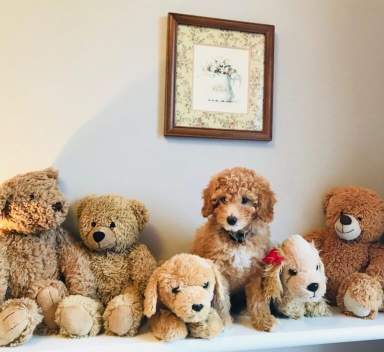 0105E8F6-0496-4C03-858D-8172935BA14B-scaled-e1600195755310-1024x938