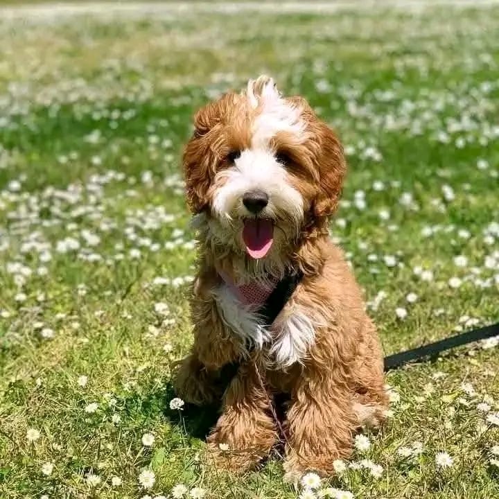 f28b5a40-311e-4ea3-ac49-374b9f26230a